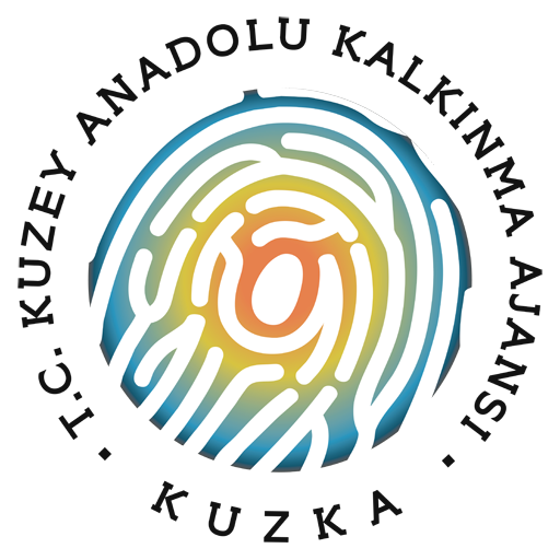 Kuzey Anadolu Kalkınma Ajansı 4 uzman personel alımı ILN00002748